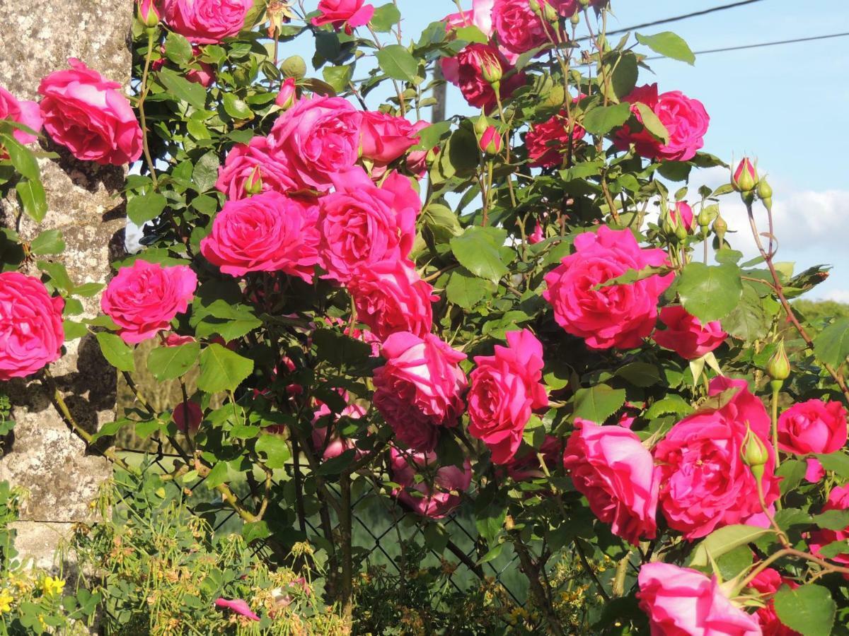 Le Chemin Bed & Breakfast Challignac Dış mekan fotoğraf